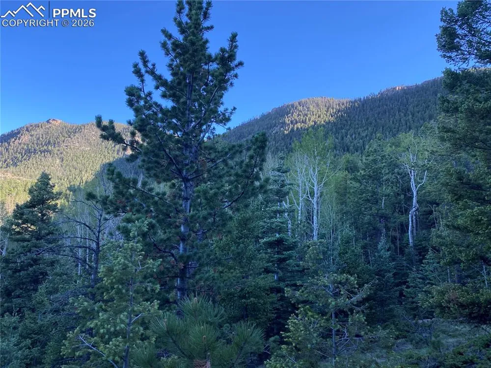 285 Forest Road Manitou Springs, CO 80829