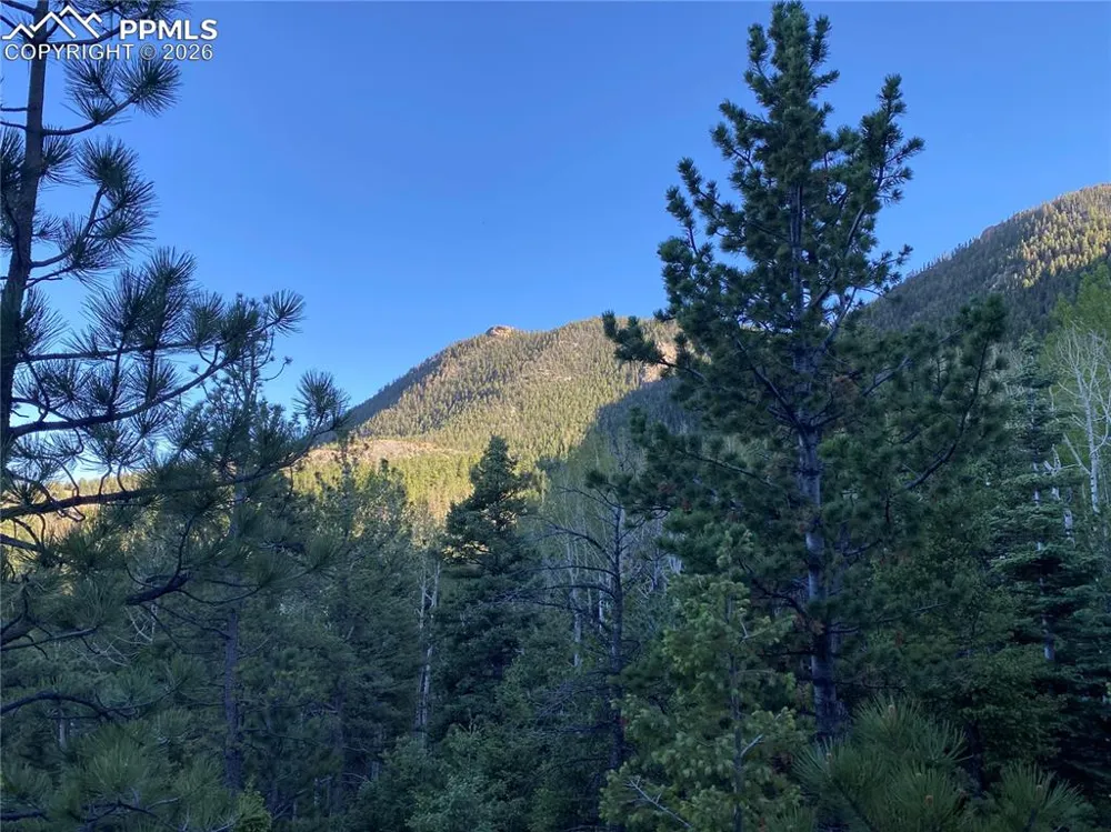 285 Forest Road Manitou Springs, CO 80829