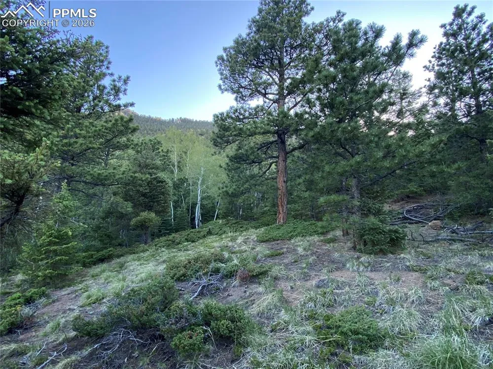285 Forest Road Manitou Springs, CO 80829