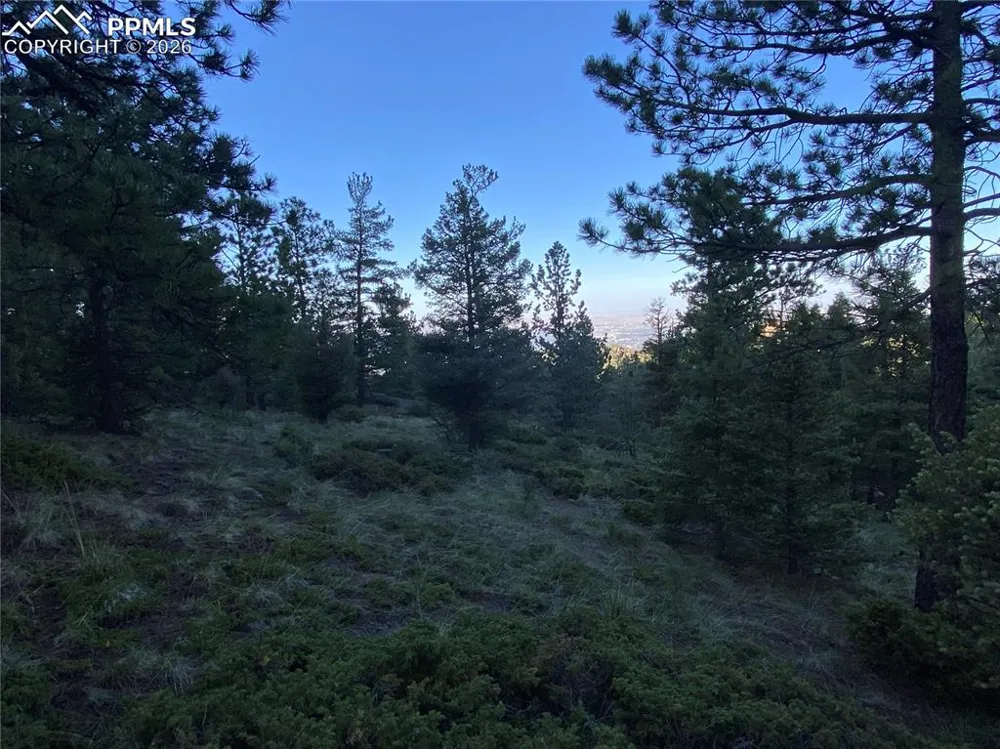 285 Forest Road Manitou Springs, CO 80829