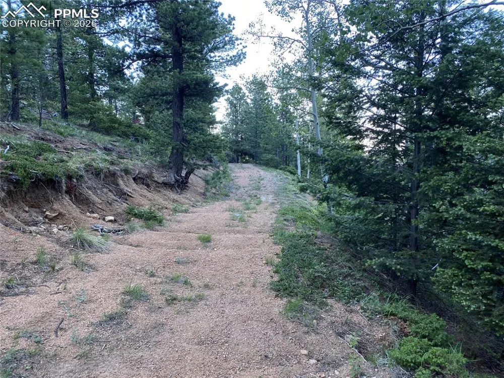 285 Forest Road Manitou Springs, CO 80829