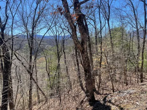 Fontana Lake Dr