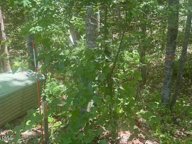 4050 Oak Ridge Court Franklinton, NC 27525