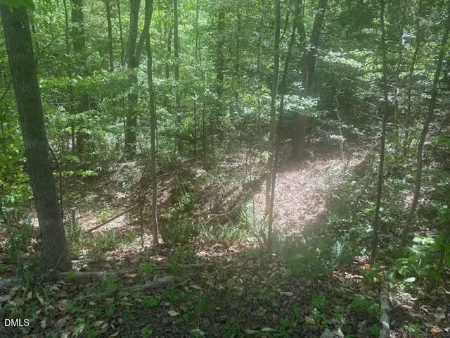 4050 Oak Ridge Court Franklinton, NC 27525
