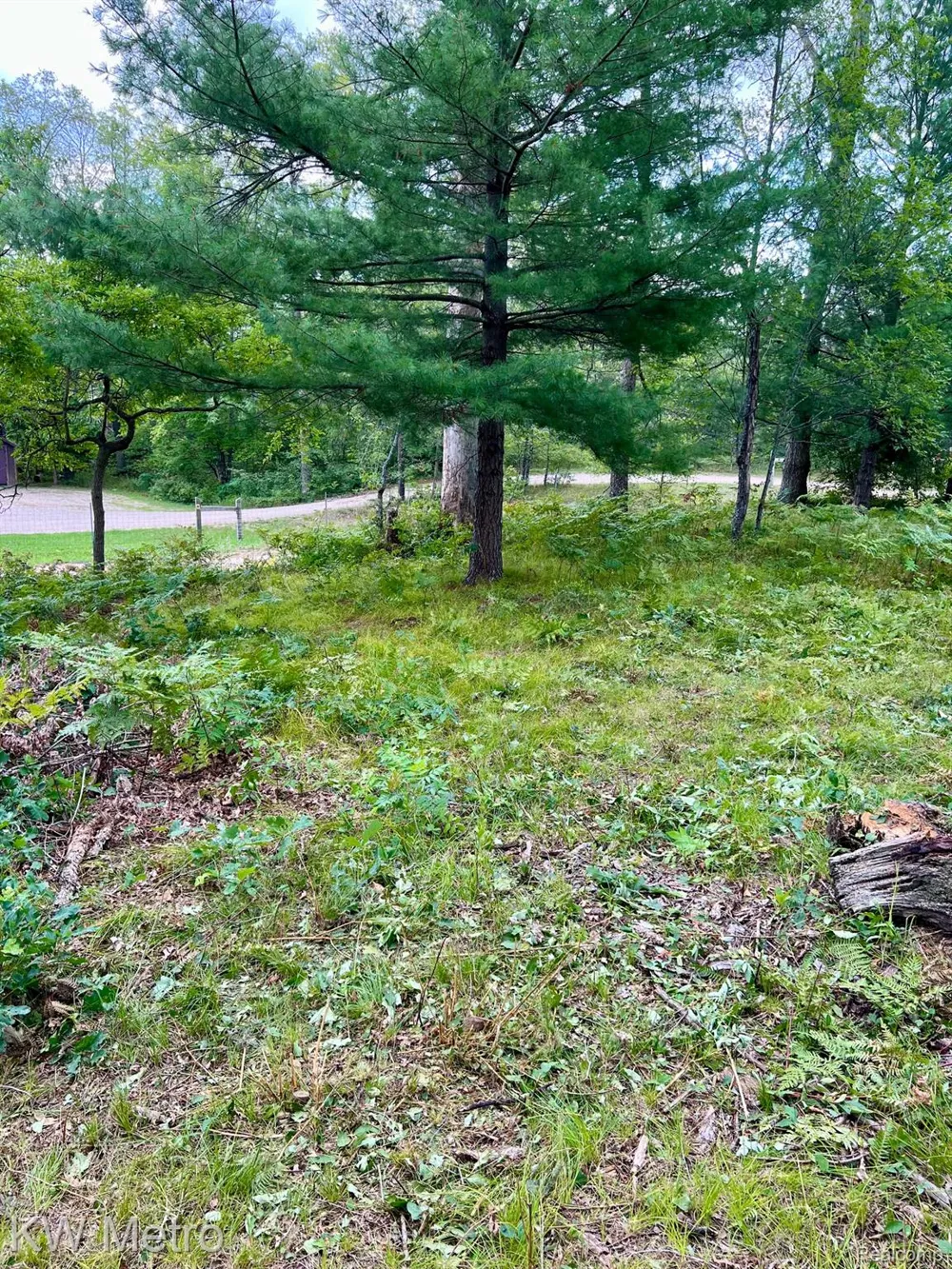 6629 S Tampa Yates Township, MI 49642