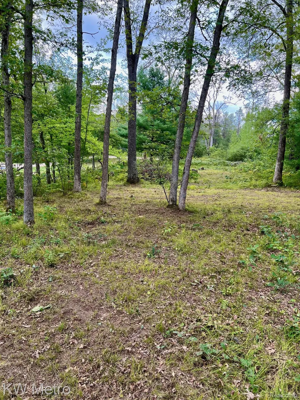 6629 S Tampa Yates Township, MI 49642