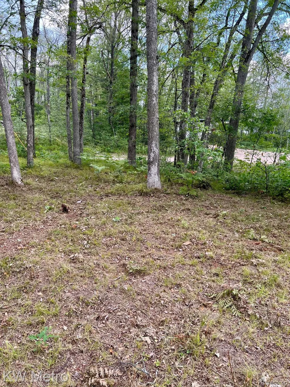 6629 S Tampa Yates Township, MI 49642