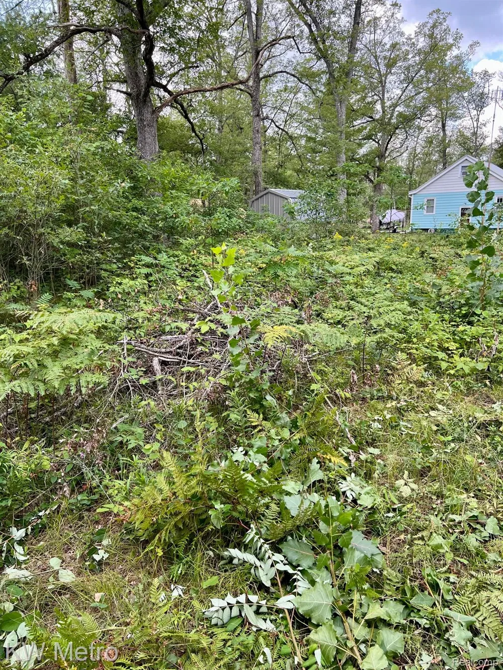 6629 S Tampa Yates Township, MI 49642