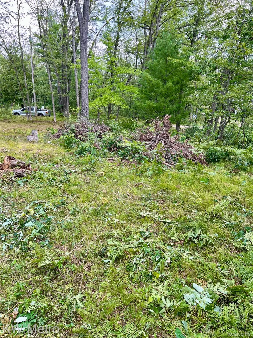 6629 S Tampa Yates Township, MI 49642