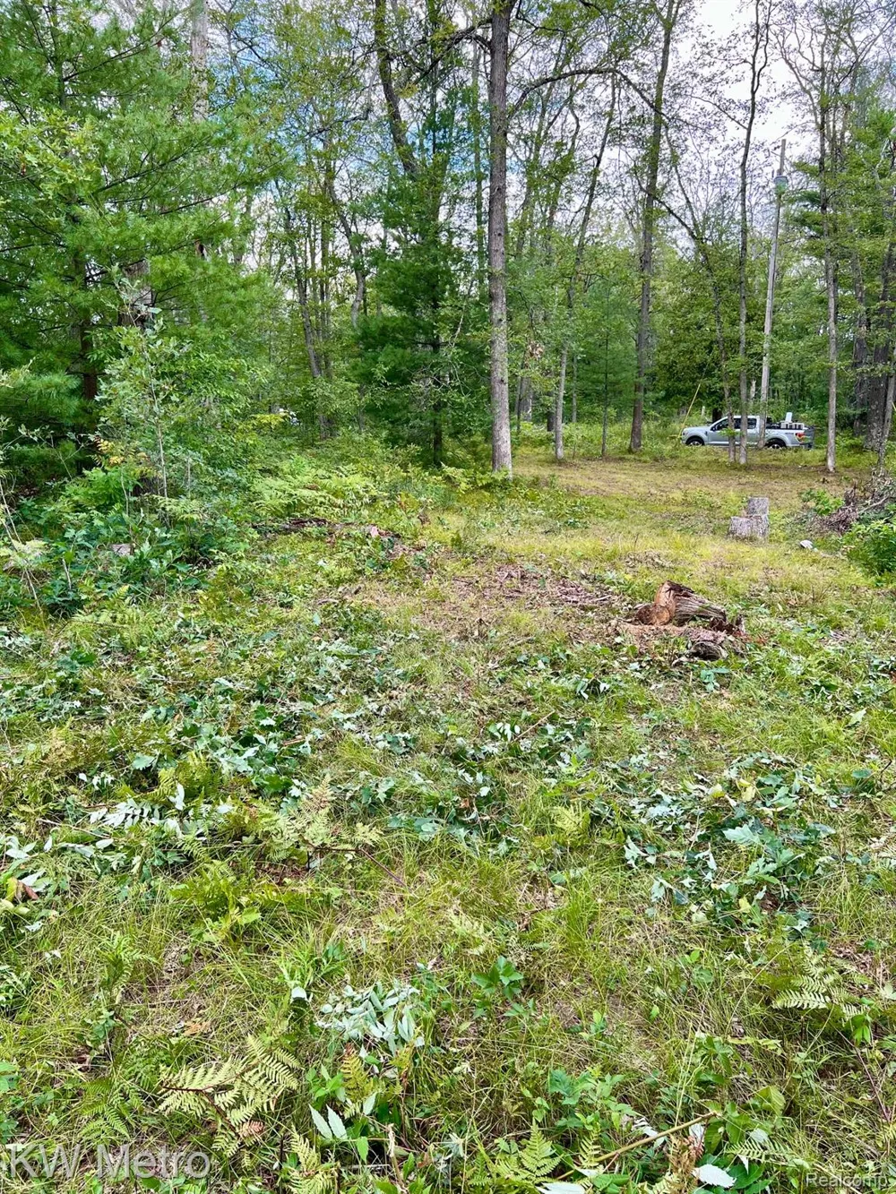 6629 S Tampa Yates Township, MI 49642