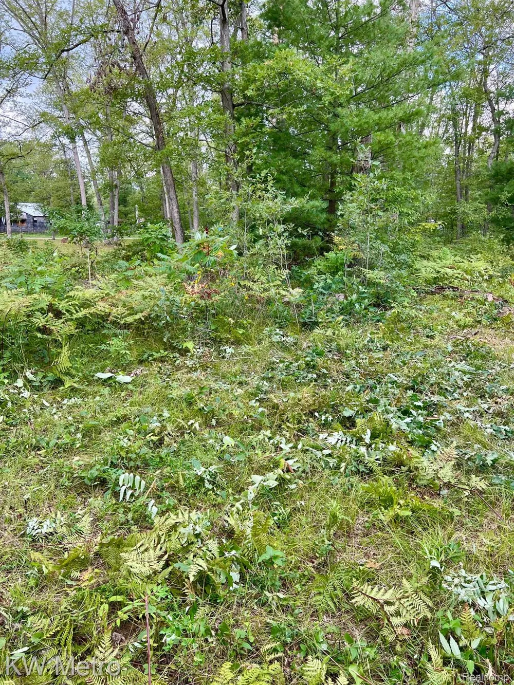 6629 S Tampa Yates Township, MI 49642