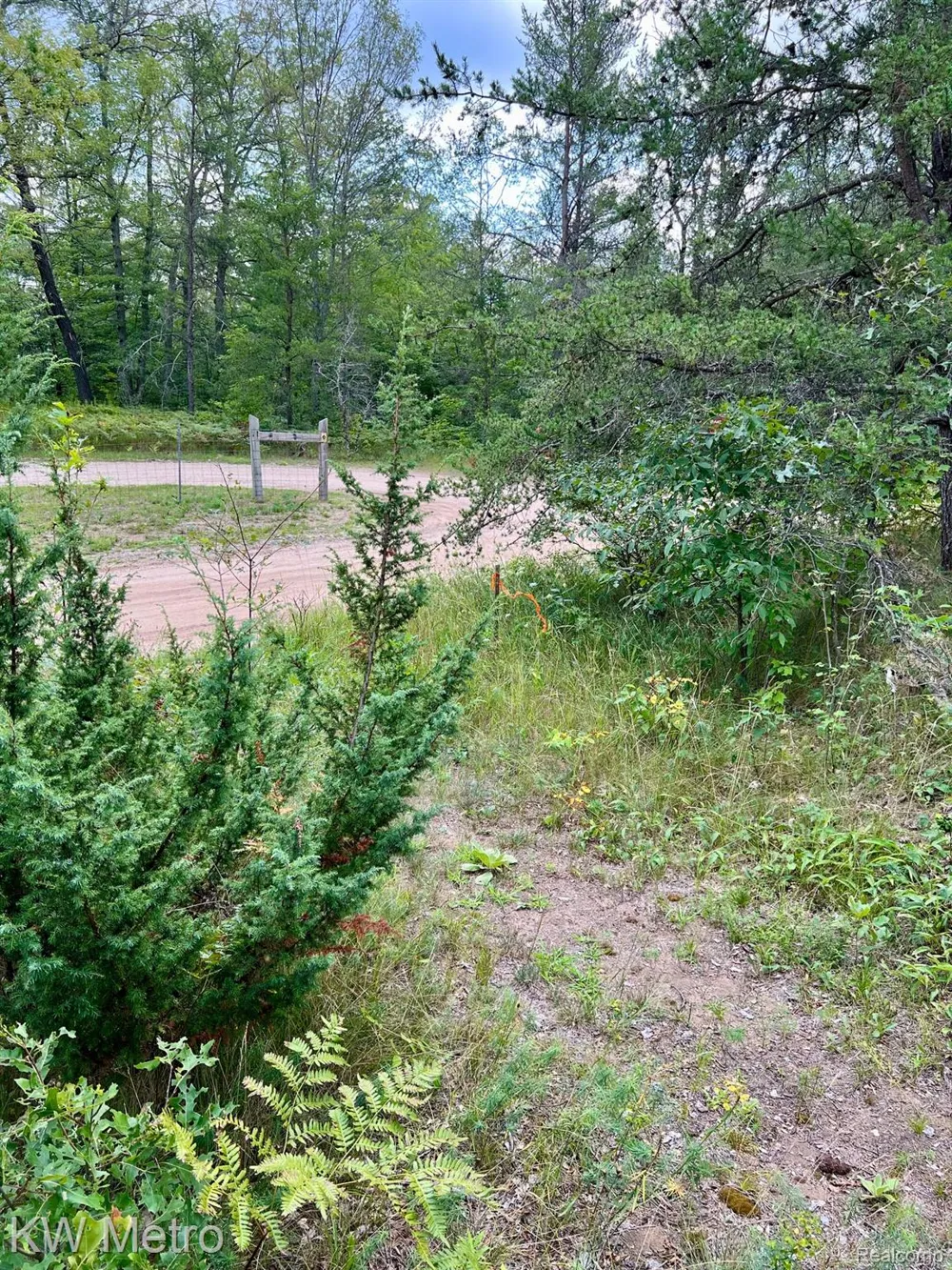 6629 S Tampa Yates Township, MI 49642