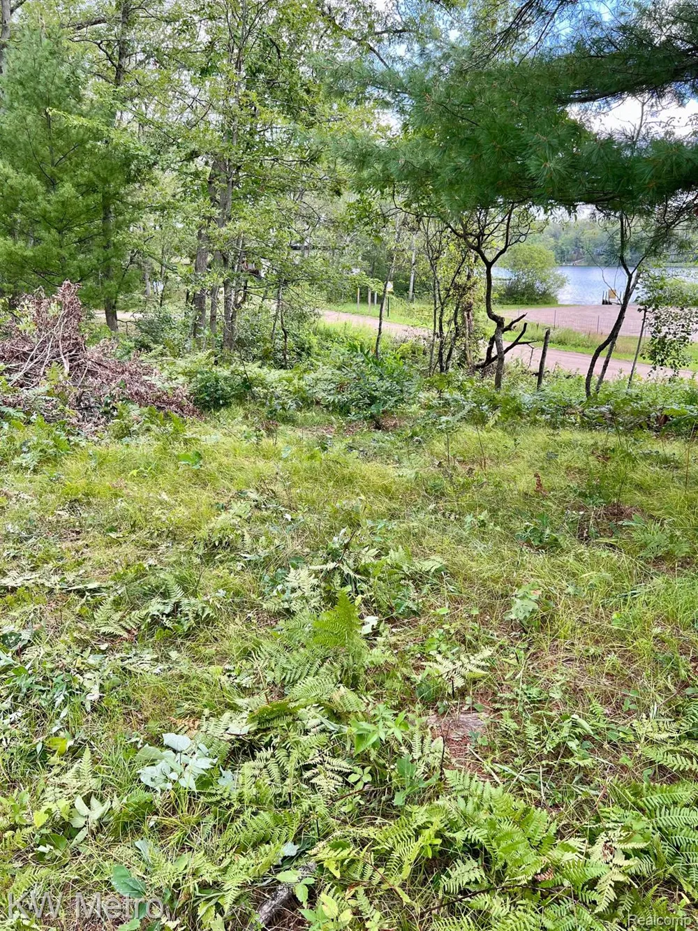 6629 S Tampa Yates Township, MI 49642