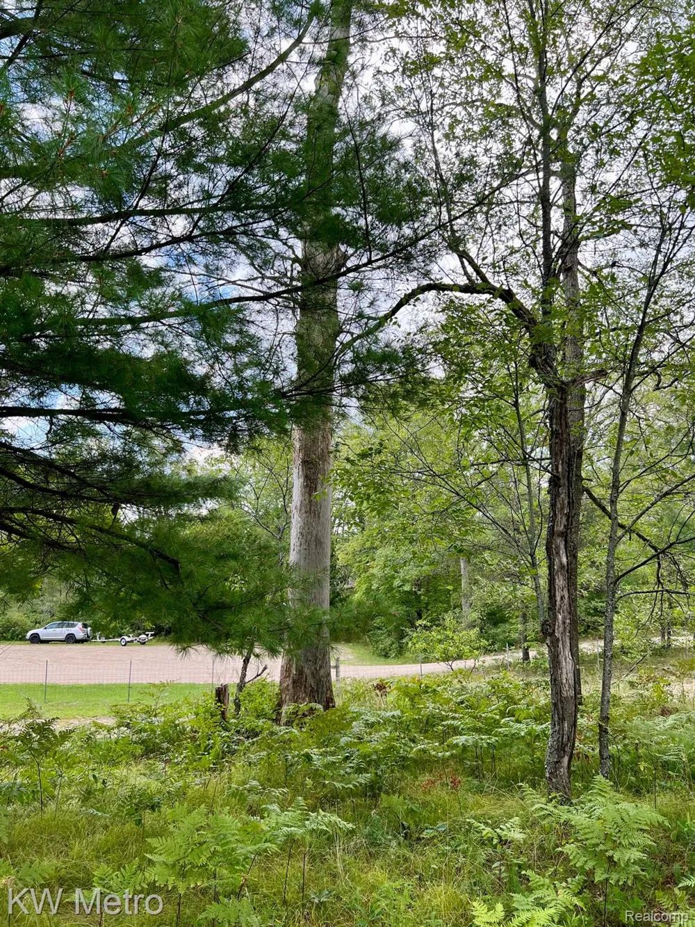 6629 S Tampa Yates Township, MI 49642