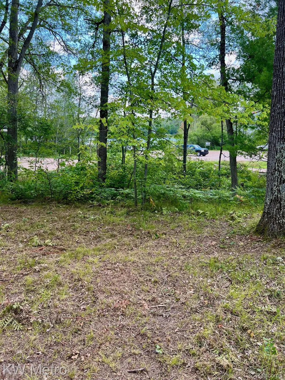 6629 S Tampa Yates Township, MI 49642