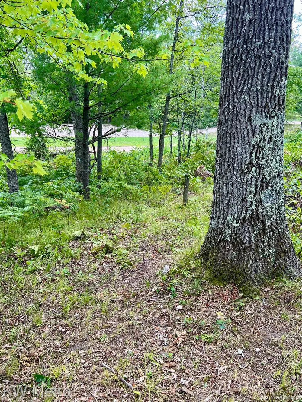 6629 S Tampa Yates Township, MI 49642