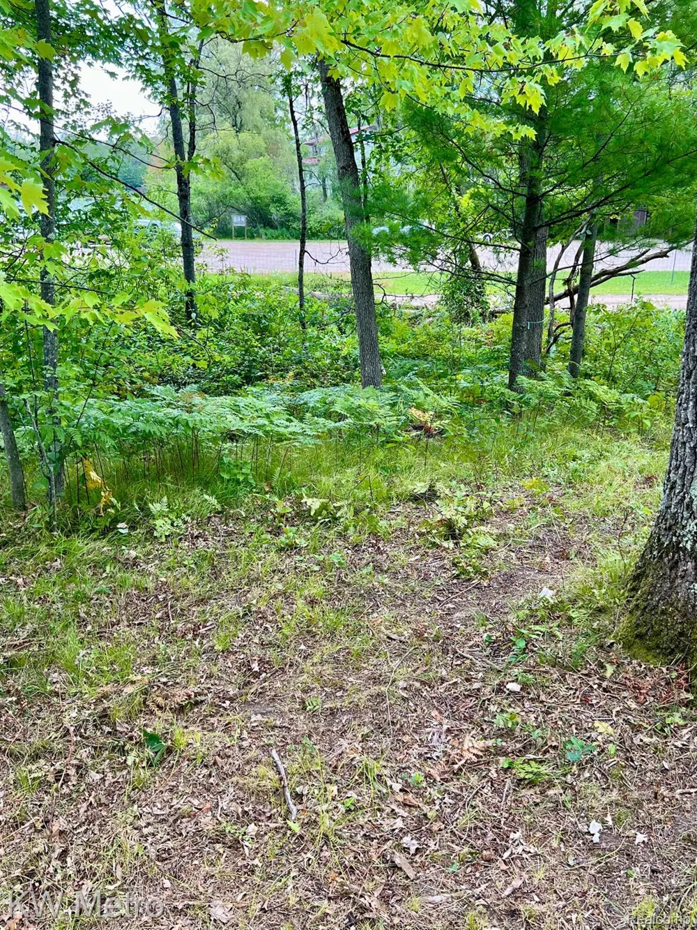 6629 S Tampa Yates Township, MI 49642
