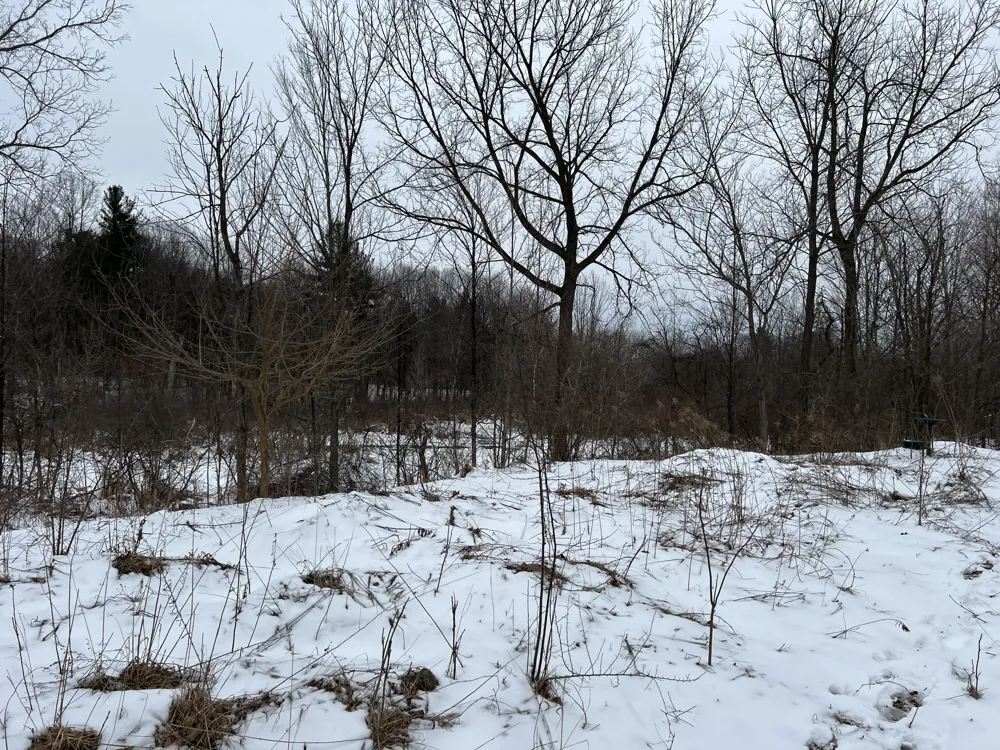 1275 47 1/2 STREET Columbia Township, MI 49056