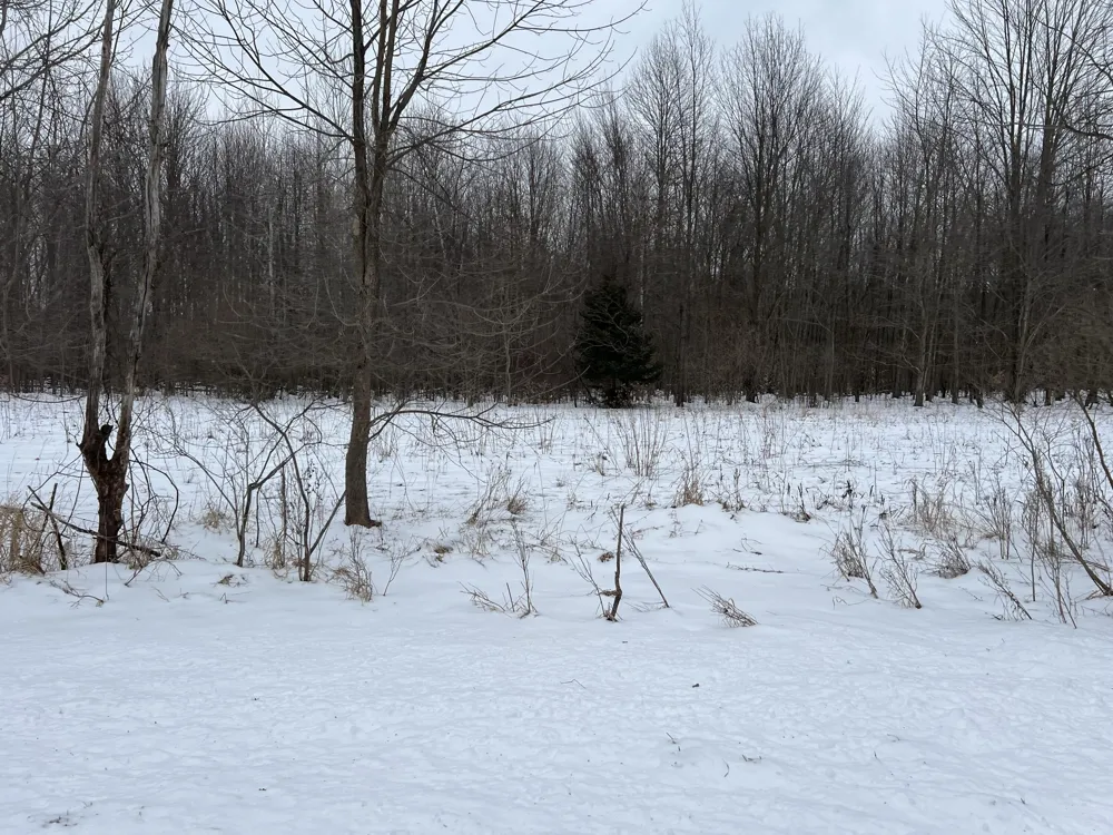 1275 47 1/2 STREET Columbia Township, MI 49056