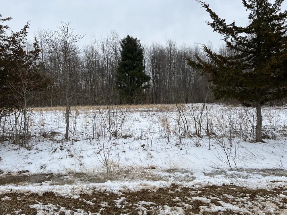 1275 47 1/2 STREET Columbia Township, MI 49056