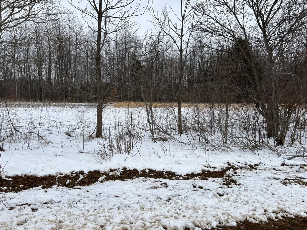 1275 47 1/2 STREET Columbia Township, MI 49056
