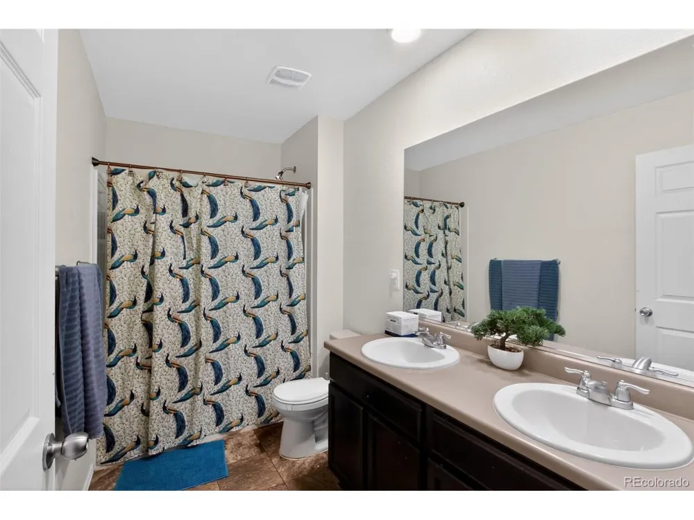 1081 Brio Street Lochbuie, CO 80603