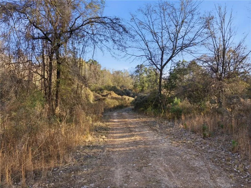 3857 County Line Road Social Circle, GA 30025
