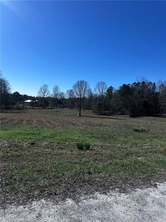8395 Vernon Grove Road Chattahoochee Hills, GA 30268