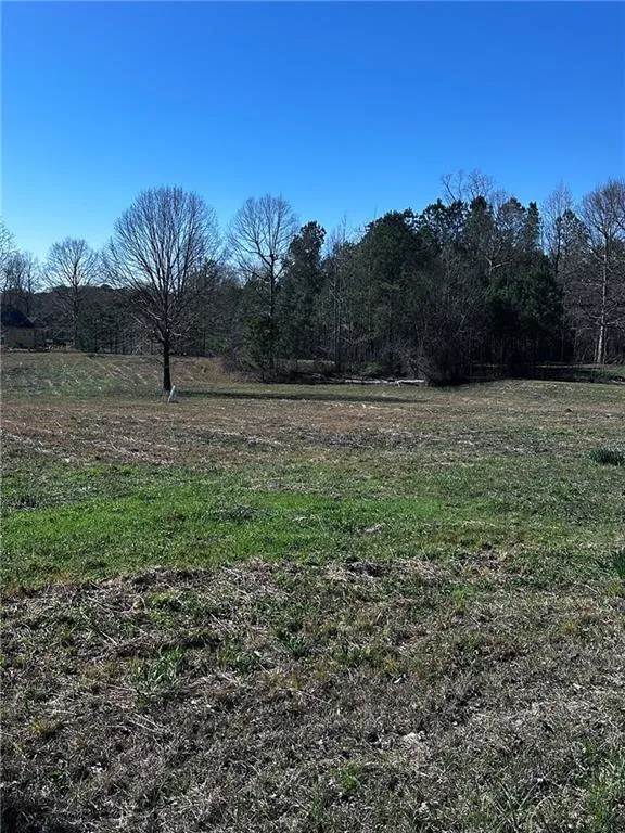 8395 Vernon Grove Road Chattahoochee Hills, GA 30268