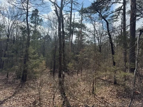 Turkey Creek Road