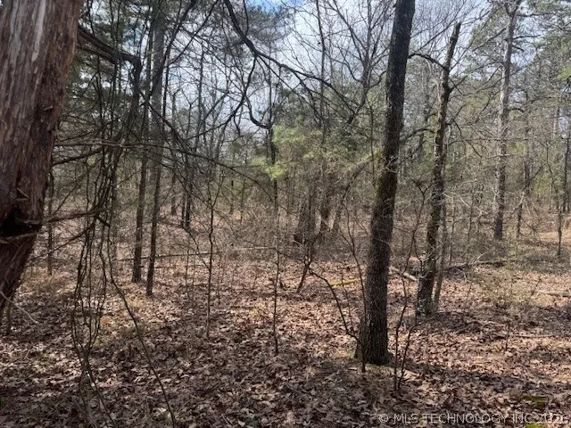 Turkey Creek Road Red Oak, OK 74563
