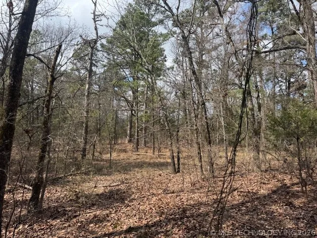 Turkey Creek Road Red Oak, OK 74563