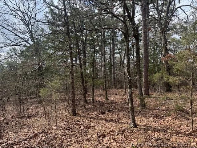 Turkey Creek Road Red Oak, OK 74563