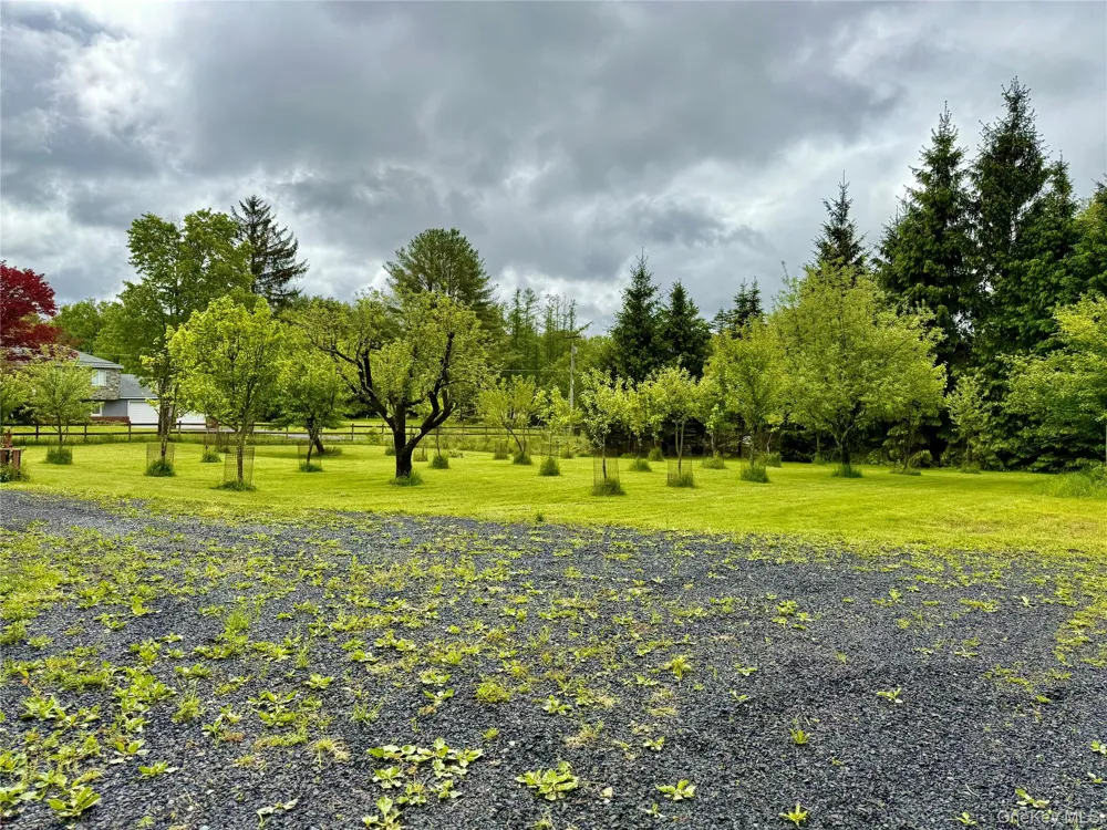 38 Moscoe Road White Lake, NY 12786