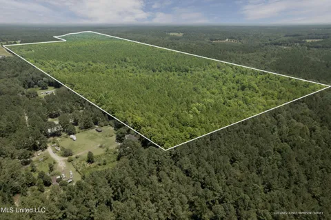 293 Acres Scruggs Road