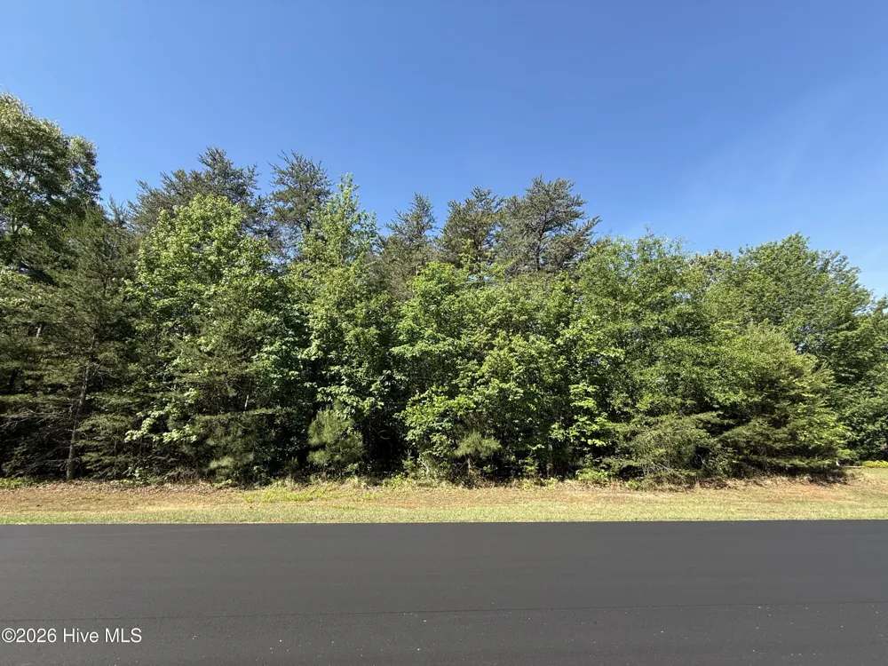 173 Lake View Pass Rockingham, NC 28379