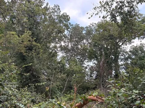 248 Buena Vista Drive