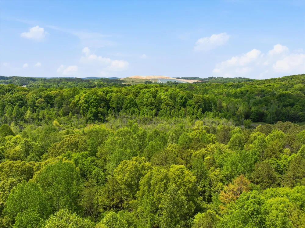 168 County Road Athens, TN 37303
