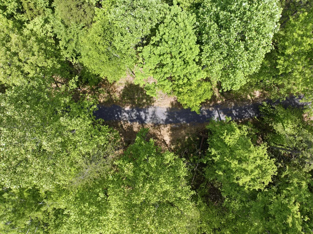 168 County Road Athens, TN 37303