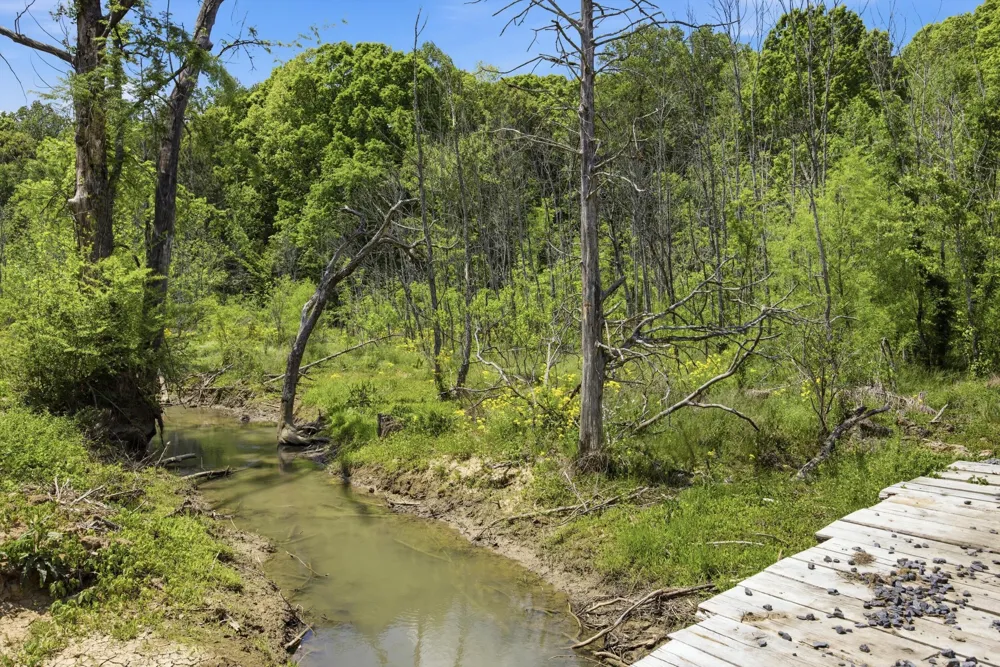 168 County Road Athens, TN 37303