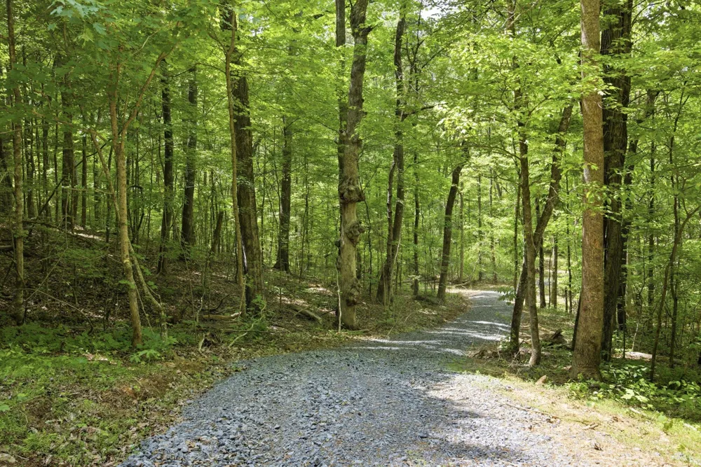 168 County Road Athens, TN 37303