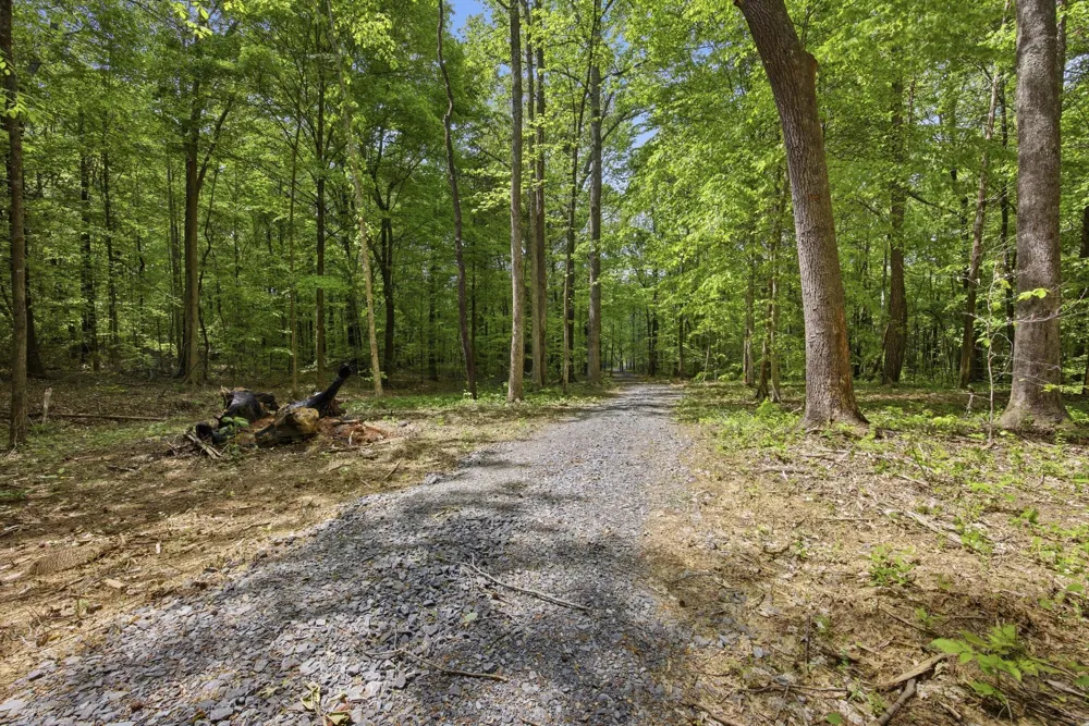 168 County Road Athens, TN 37303