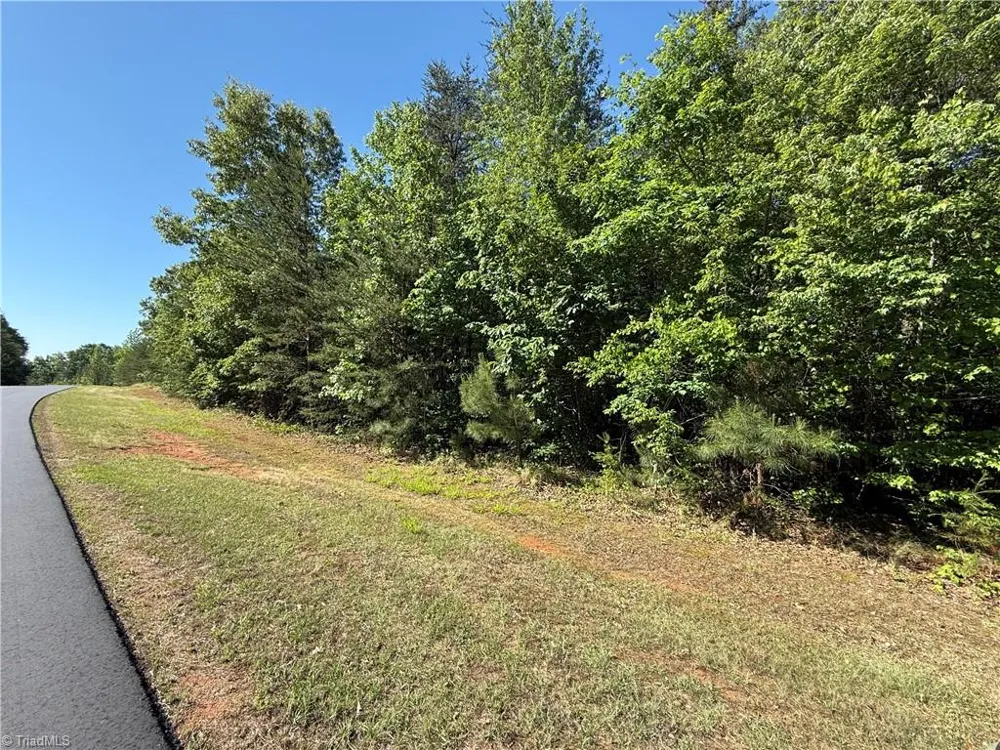173 Lake View Pass Rockingham, NC 28379