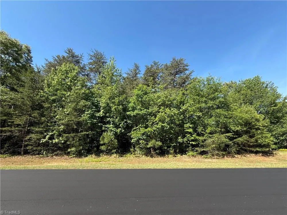 173 Lake View Pass Rockingham, NC 28379