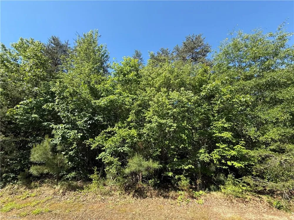 173 Lake View Pass Rockingham, NC 28379