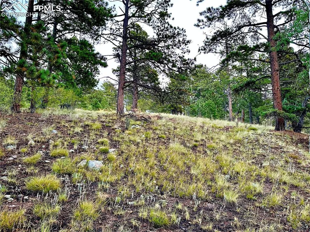 908 Penrose Circle Cripple Creek, CO 80813