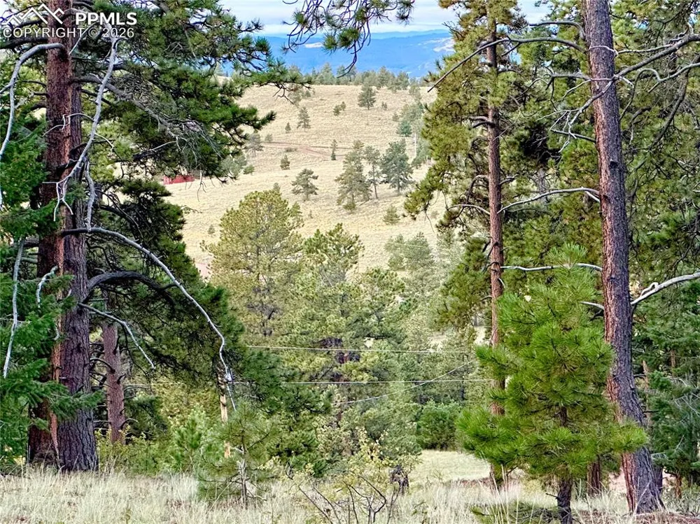 908 Penrose Circle Cripple Creek, CO 80813