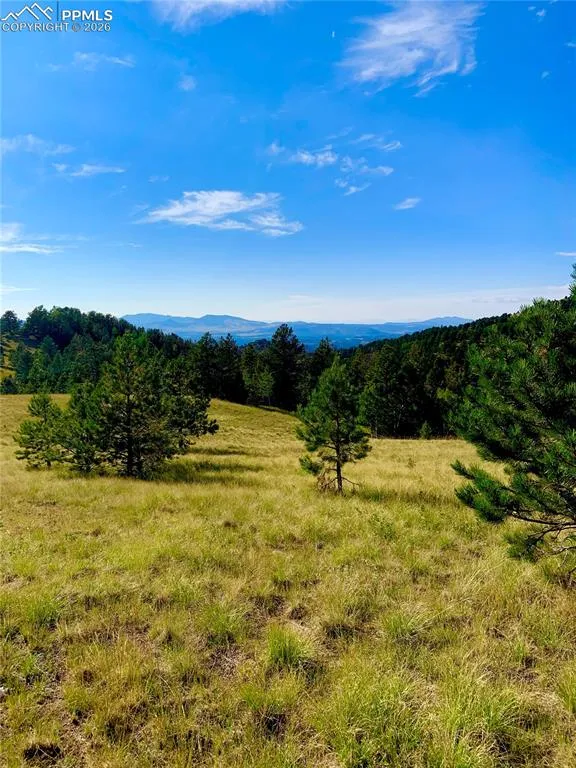 908 Penrose Circle Cripple Creek, CO 80813