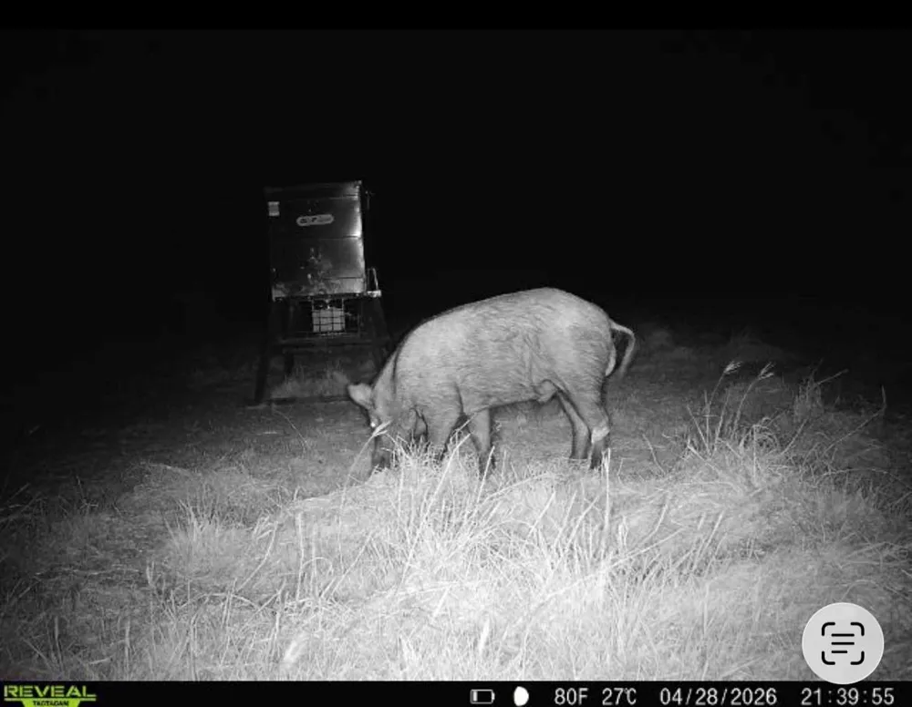 Cr 139 Gatesville, TX 76528