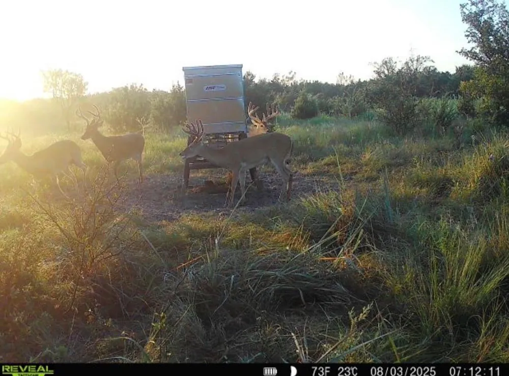 Cr 139 Gatesville, TX 76528